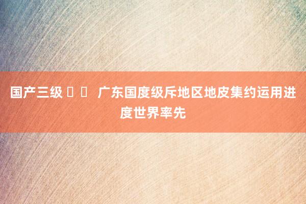 国产三级 		 广东国度级斥地区地皮集约运用进度世界率先