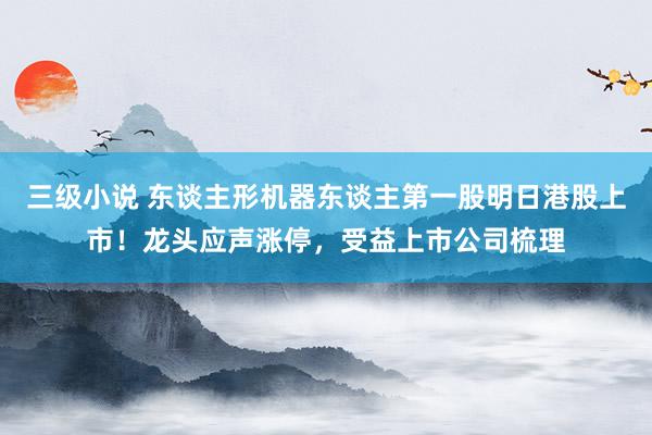 三级小说 东谈主形机器东谈主第一股明日港股上市！龙头应声涨停，受益上市公司梳理