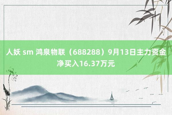 人妖 sm 鸿泉物联（688288）9月13日主力资金净买入16.37万元