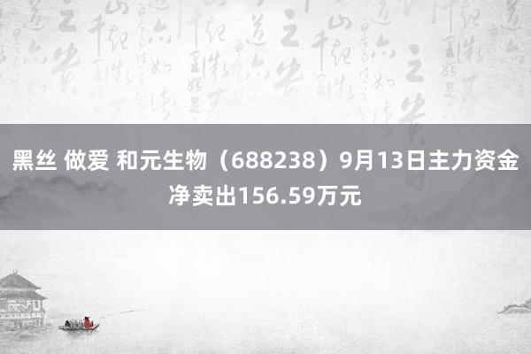 黑丝 做爱 和元生物（688238）9月13日主力资金净卖出156.59万元