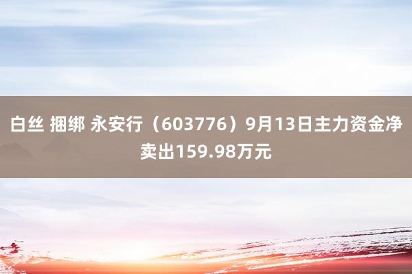 白丝 捆绑 永安行（603776）9月13日主力资金净卖出159.98万元