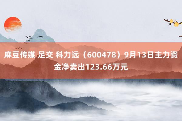 麻豆传媒 足交 科力远（600478）9月13日主力资金净卖出123.66万元