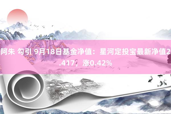 阿朱 勾引 9月18日基金净值：星河定投宝最新净值2.417，涨0.42%