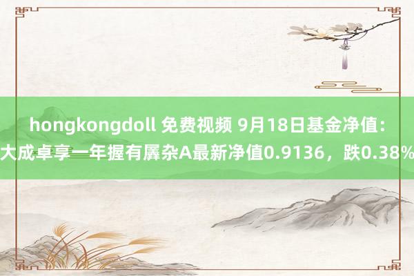 hongkongdoll 免费视频 9月18日基金净值：大成卓享一年握有羼杂A最新净值0.9136，跌0.38%