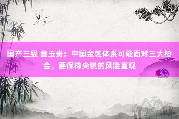 国产三级 章玉贵：中国金融体系可能面对三大检会，要保持尖锐的风险直观