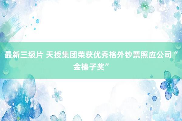 最新三级片 天授集团荣获优秀格外钞票照应公司“金榛子奖”