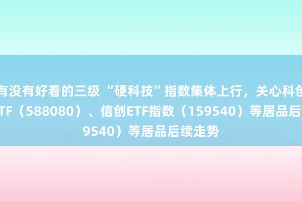 有没有好看的三级 “硬科技”指数集体上行，关心科创板50ETF（588080）、信创ETF指数（159540）等居品后续走势