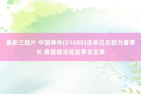 最新三级片 中国神华(01088)选举吕志韧为董事长 唐超雄当选监事会主席