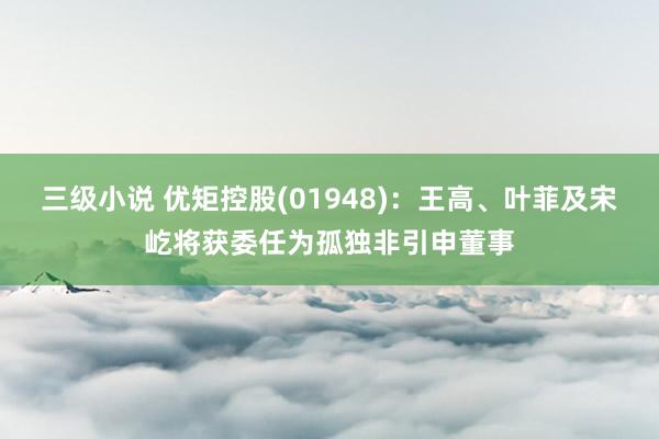 三级小说 优矩控股(01948)：王高、叶菲及宋屹将获委任为孤独非引申董事