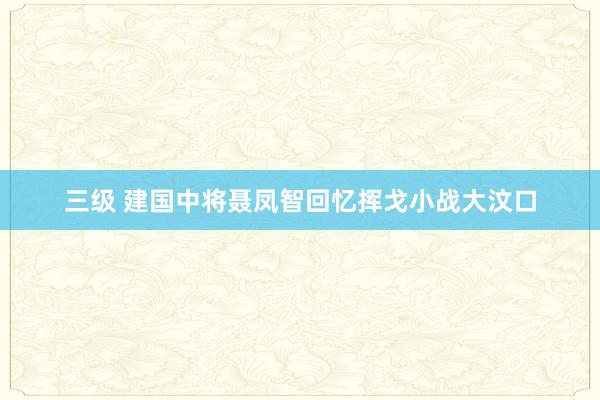 三级 建国中将聂凤智回忆挥戈小战大汶口