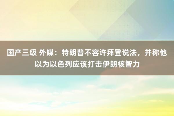 国产三级 外媒：特朗普不容许拜登说法，并称他以为以色列应该打击伊朗核智力