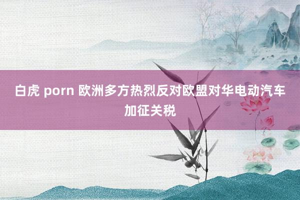 白虎 porn 欧洲多方热烈反对欧盟对华电动汽车加征关税