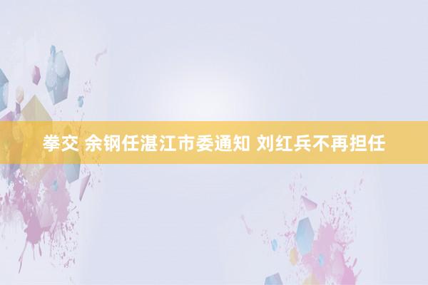 拳交 余钢任湛江市委通知 刘红兵不再担任