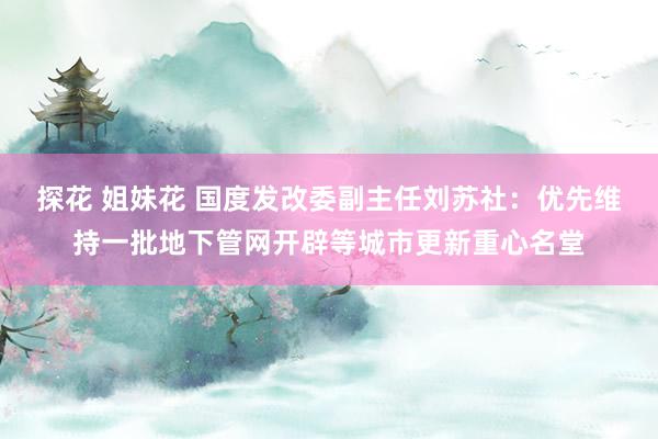 探花 姐妹花 国度发改委副主任刘苏社：优先维持一批地下管网开辟等城市更新重心名堂