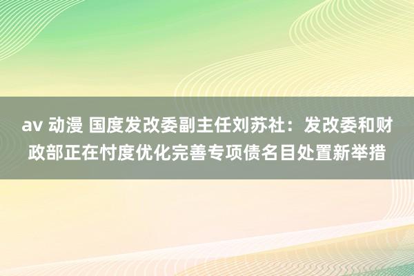 av 动漫 国度发改委副主任刘苏社：发改委和财政部正在忖度优化完善专项债名目处置新举措