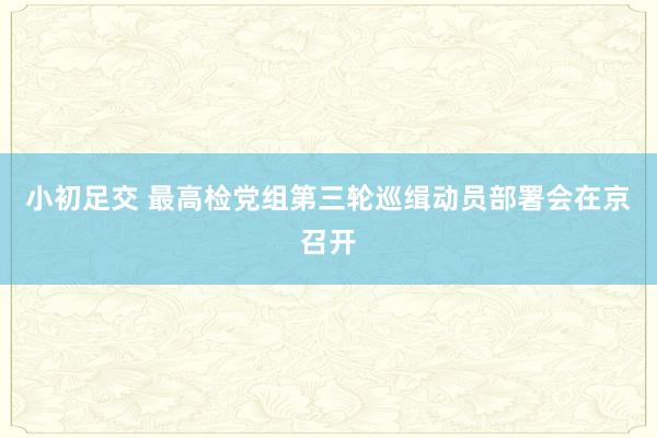 小初足交 最高检党组第三轮巡缉动员部署会在京召开