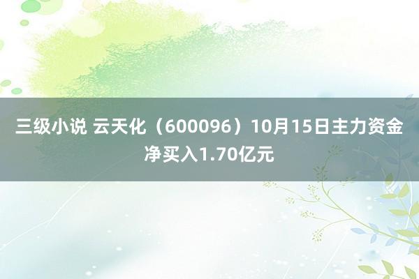 三级小说 云天化（600096）10月15日主力资金净买入1.70亿元