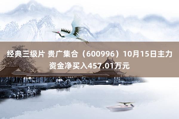 经典三级片 贵广集合（600996）10月15日主力资金净买入457.01万元