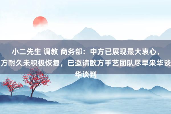 小二先生 调教 商务部：中方已展现最大衷心，欧方耐久未积极恢复，已邀请欧方手艺团队尽早来华谈判