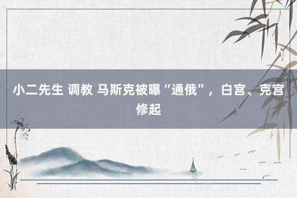 小二先生 调教 马斯克被曝“通俄”，白宫、克宫修起