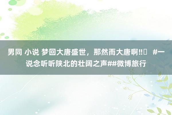 男同 小说 梦回大唐盛世，那然而大唐啊‼️ #一说念听听陕北的壮阔之声##微博旅行