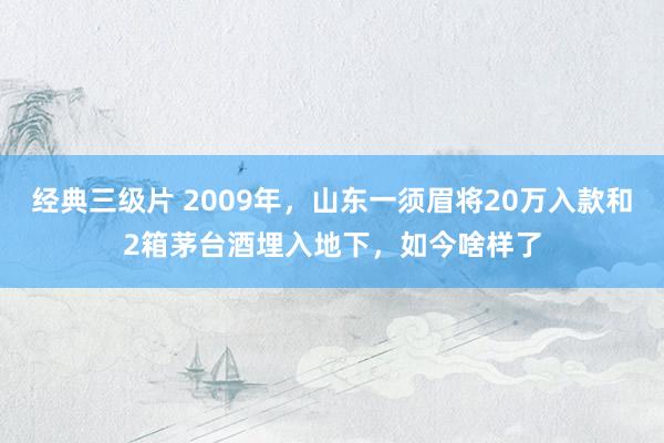 经典三级片 2009年，山东一须眉将20万入款和2箱茅台酒埋入地下，如今啥样了