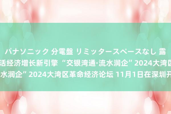 パナソニック 分電盤 リミッタースペースなし 露出・半埋込両用形 激活经济增长新引擎 “交银湾通·流水润企”2024大湾区革命经济论坛 11月1日在深圳开幕