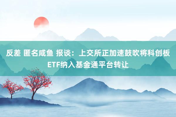 反差 匿名咸鱼 报谈：上交所正加速鼓吹将科创板ETF纳入基金通平台转让