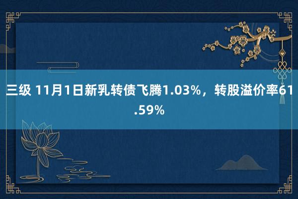 三级 11月1日新乳转债飞腾1.03%，转股溢价率61.59%