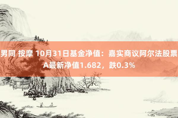 男同 按摩 10月31日基金净值：嘉实商议阿尔法股票A最新净值1.682，跌0.3%