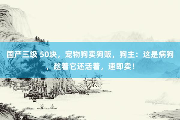 国产三级 50块，宠物狗卖狗贩，狗主：这是病狗，趁着它还活着，速即卖！