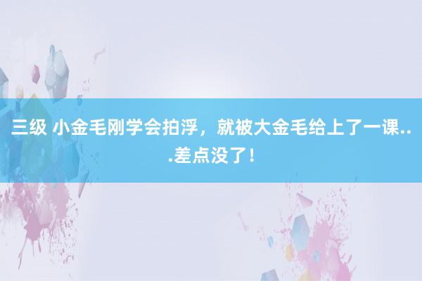 三级 小金毛刚学会拍浮，就被大金毛给上了一课...差点没了！