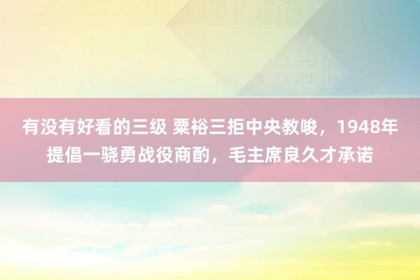 有没有好看的三级 粟裕三拒中央教唆，1948年提倡一骁勇战役商酌，毛主席良久才承诺