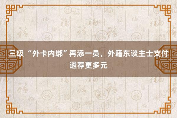 三级 “外卡内绑”再添一员，外籍东谈主士支付遴荐更多元