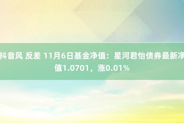 抖音风 反差 11月6日基金净值：星河君怡债券最新净值1.0701，涨0.01%