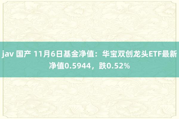 jav 国产 11月6日基金净值：华宝双创龙头ETF最新净值0.5944，跌0.52%