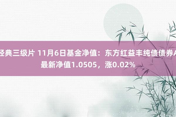 经典三级片 11月6日基金净值：东方红益丰纯债债券A最新净值1.0505，涨0.02%