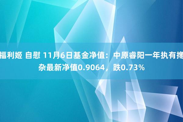 福利姬 自慰 11月6日基金净值：中原睿阳一年执有搀杂最新净值0.9064，跌0.73%