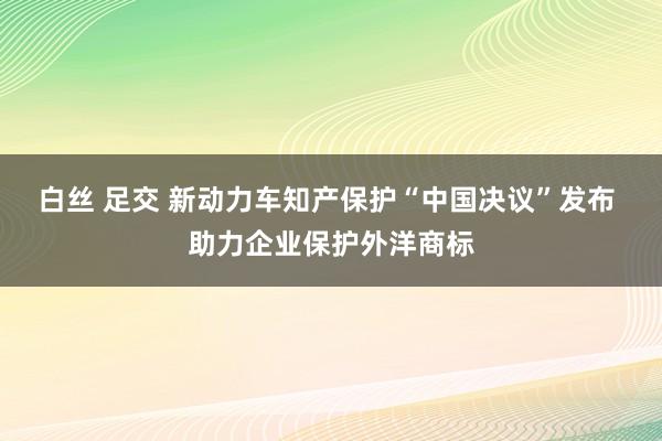 白丝 足交 新动力车知产保护“中国决议”发布 助力企业保护外洋商标