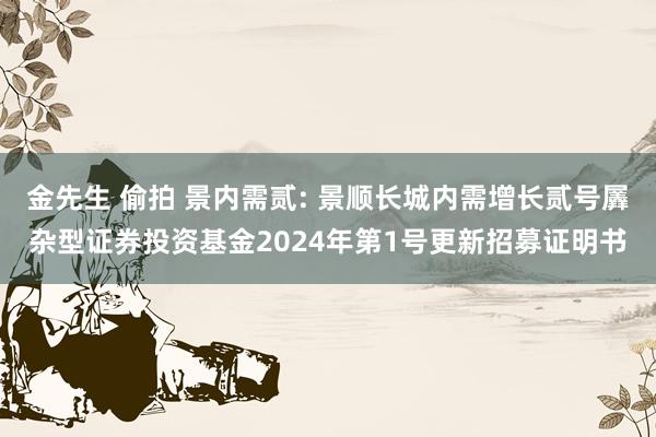 金先生 偷拍 景内需贰: 景顺长城内需增长贰号羼杂型证券投资基金2024年第1号更新招募证明书