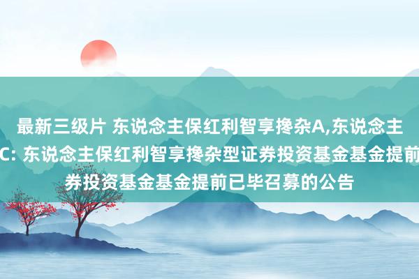 最新三级片 东说念主保红利智享搀杂A，东说念主保红利智享搀杂C: 东说念主保红利智享搀杂型证券投资基金基金提前已毕召募的公告