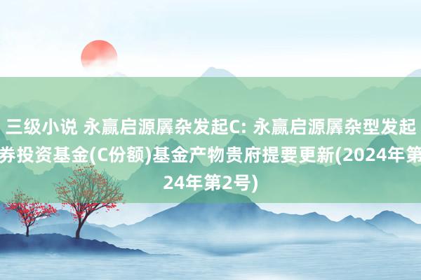 三级小说 永赢启源羼杂发起C: 永赢启源羼杂型发起式证券投资基金(C份额)基金产物贵府提要更新(2024年第2号)