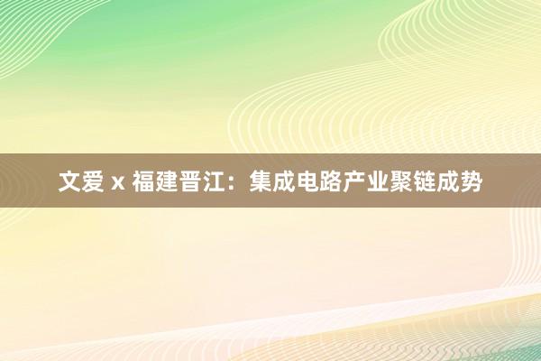 文爱 x 福建晋江：集成电路产业聚链成势