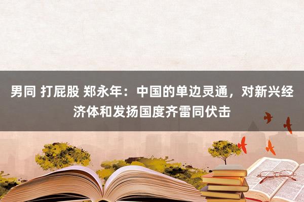 男同 打屁股 郑永年：中国的单边灵通，对新兴经济体和发扬国度齐雷同伏击