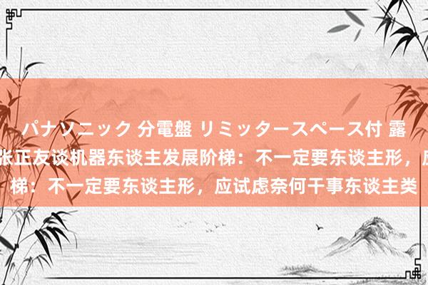 パナソニック 分電盤 リミッタースペース付 露出・半埋込両用形 腾讯张正友谈机器东谈主发展阶梯：不一定要东谈主形，应试虑奈何干事东谈主类