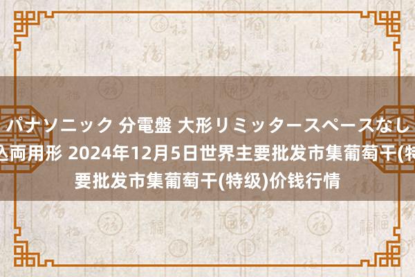 パナソニック 分電盤 大形リミッタースペースなし 露出・半埋込両用形 2024年12月5日世界主要批发市集葡萄干(特级)价钱行情