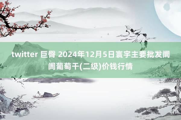 twitter 巨臀 2024年12月5日寰宇主要批发阛阓葡萄干(二级)价钱行情