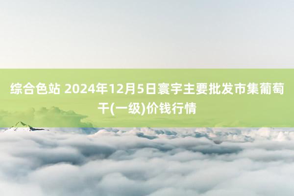 综合色站 2024年12月5日寰宇主要批发市集葡萄干(一级)价钱行情