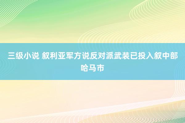 三级小说 叙利亚军方说反对派武装已投入叙中部哈马市