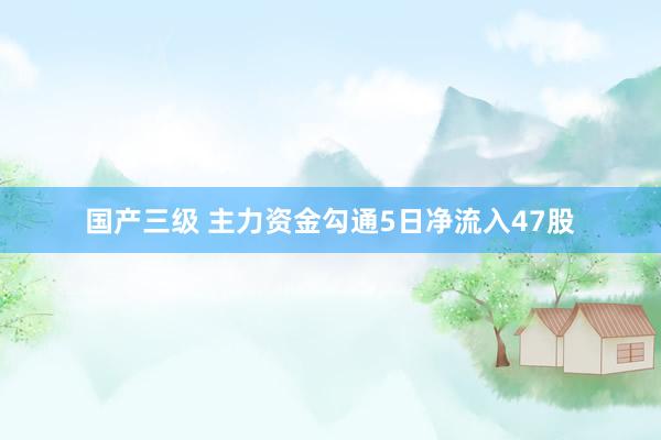 国产三级 主力资金勾通5日净流入47股